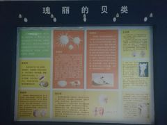 -紫薇公园