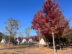 -北京西山国家森林公园