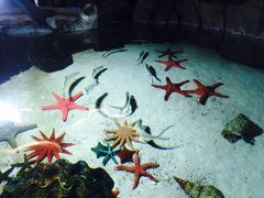 -福州罗源湾海洋世界旅游区