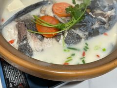 -全乐鱼馆·淳牌有机鱼直营店