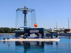 -秦皇岛乐岛海洋王国