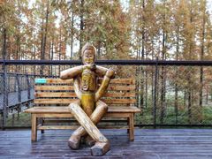 -黄海国家森林公园