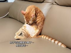 -御宝贝24h宠物医院·转诊中心·CT核磁血透中心(厦门总院)