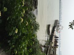 iphone_upload_pic-金鸡湖桃花岛