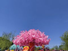 -仙海旅游度假区