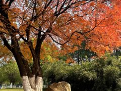 -艾溪湖湿地公园