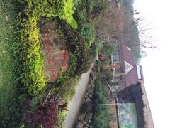 iphone_upload_pic-优游吧斯邹族文化部落