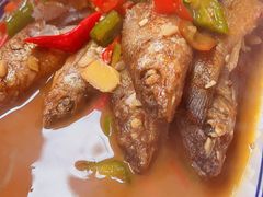 瑶河小鱼-瑶河山里菜