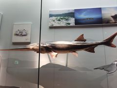 -浙江自然博物院(杭州馆)