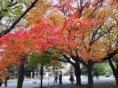 -北海道厅旧本厅舍(旧本庁舎)