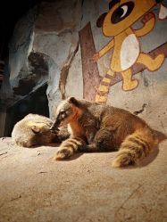 点击看大图 -Zoolung Zoolung动物主题公园(海信广场店)