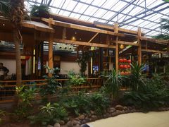 -陶然居·重庆菜(生态园店)