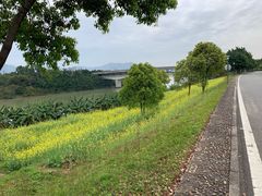 -福建鲤鱼洲酒店