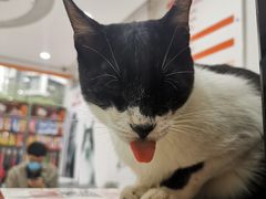 -创凡宠物医院·骨专科  猫科中心(西乡分院)