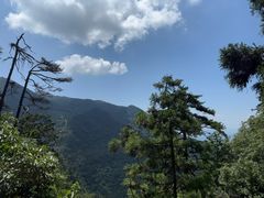 -东天目山风景区