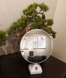 -盘子女人坊古装写真摄影(天津总店)