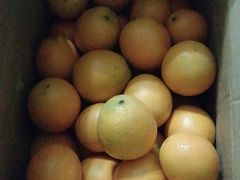 -麦当劳(深圳北站高铁店)