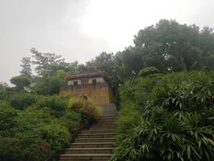 -深圳国际园林花卉博览园