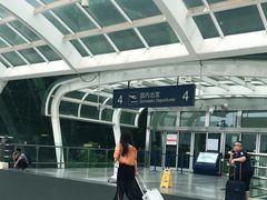 -合肥新桥国际机场-航站楼