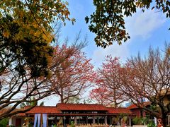 -喜洲吧·江畔老船厂·庭院餐厅(喜临院店)
