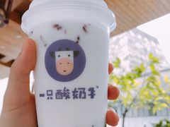 -一只酸奶牛(八一路店)