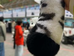 -青藏高原野生动物园