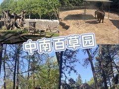 -阿露佳·舌尖上的安吉菜