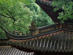 -普陀山风景名胜区-法雨禅寺