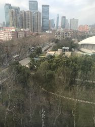 -海豚湾高端月子会所(黄浦店)