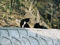 -宝通禅寺