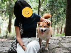 -潜山国家森林公园