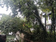 -丝绸小镇荻港古村