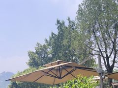 -蘇河湾·新鲁菜·泰山宴(泰山店)
