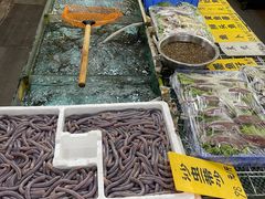 -寻味顺德·南记酒家·传统顺德菜·鱼生(广源路店)