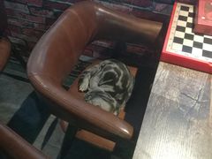 -AOE 火焰 剧本密室狼人杀