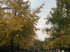-八大关景区