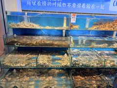 -仙螺岛海鲜自助餐厅(总店)