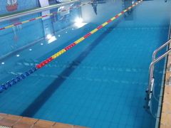 -蓝鲨游泳培训(回龙观店)