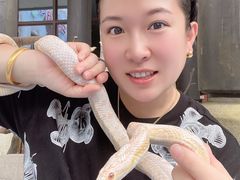 -上海崇明金茂凯悦酒店