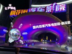 -枫花园汽车电影院(朝阳公园店)