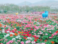-盈香心动乐园