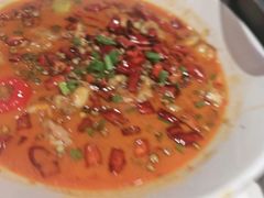 -杨氏青龙虾·羊蝎子(托乐嘉店)