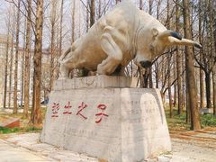-曲阜师范大学(曲阜校区)