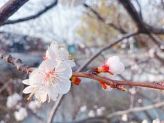 -雍和宫(地铁站)