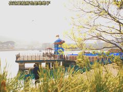-大连老虎滩海洋公园