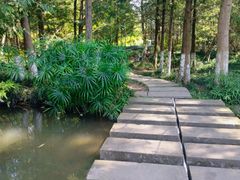 -桤木河湿地公园