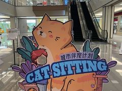 -申普宠物医院·心脏介入·心血管微创(总院)