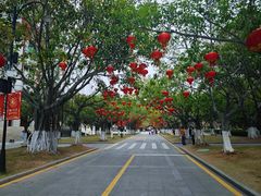 -厦门大学(思明校区)