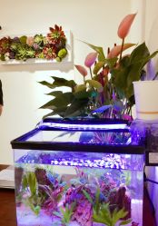 -谜秀专业半永久纹眉纹绣美瞳线洗眉