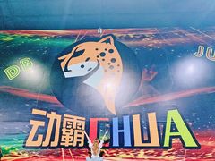 -嘿哟动霸CHUA·新潮玩运动娱乐中心·蹦床滑冰团建乐园